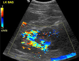IDEAL SCAN CENTRE - MEDICAL LAB  & ECG